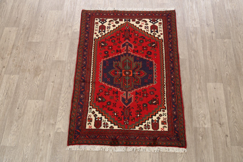 Tribal Hamedan Persian Area Rug 3x5