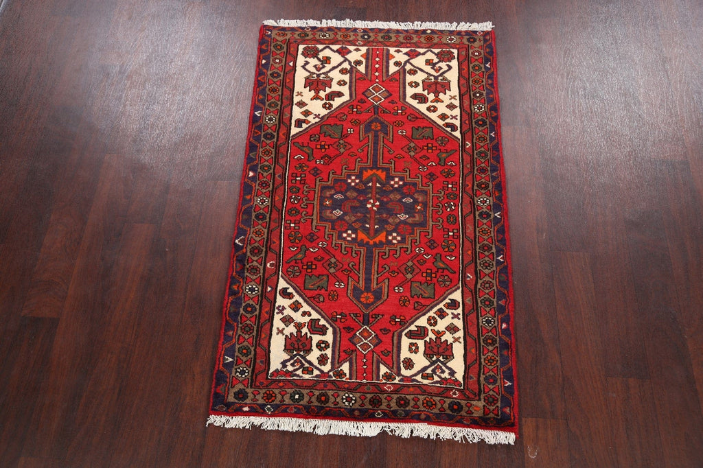 Hamedan Persian Area Rug 3x5