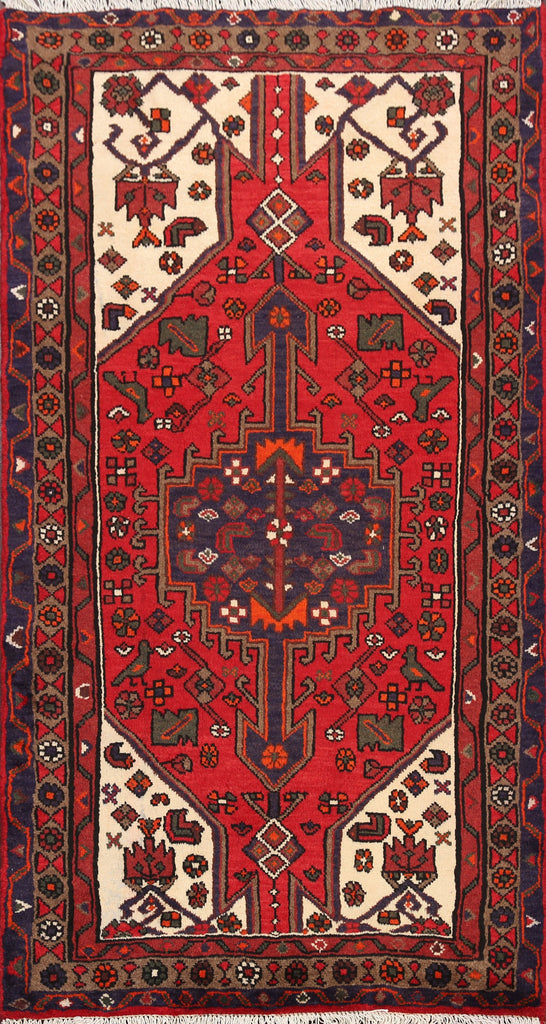 Hamedan Persian Area Rug 3x5