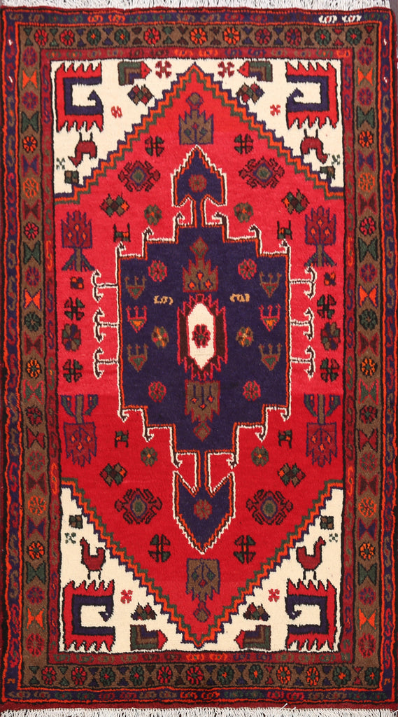 Hamedan Persian Area Rug 3x5