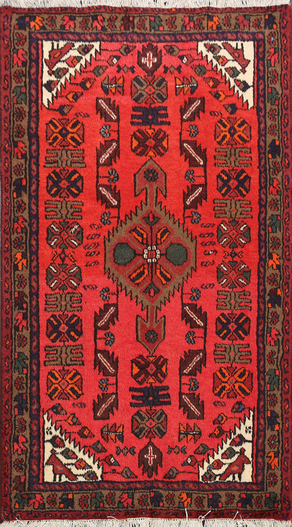 Hamedan Persian Area Rug 3x5