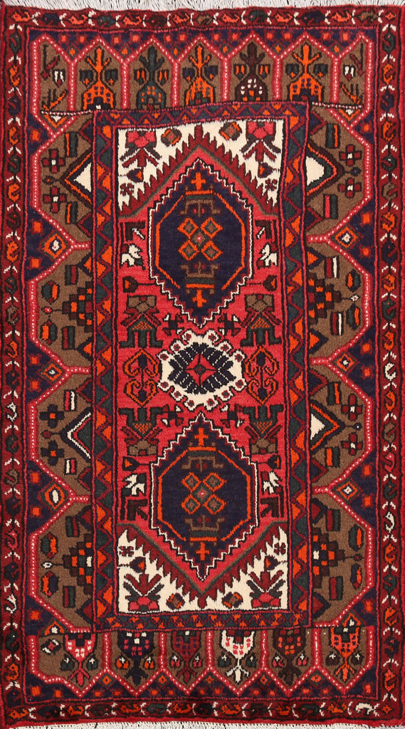 Hamedan Persian Area Rug 3x5