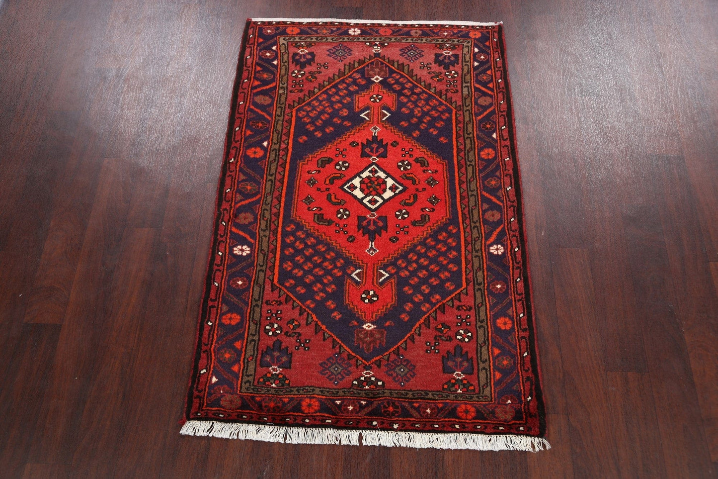 Hamedan Persian Area Rug 3x5