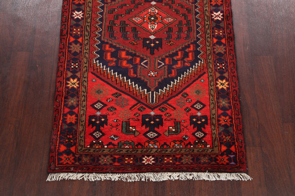 Hamedan Persian Area Rug 3x6