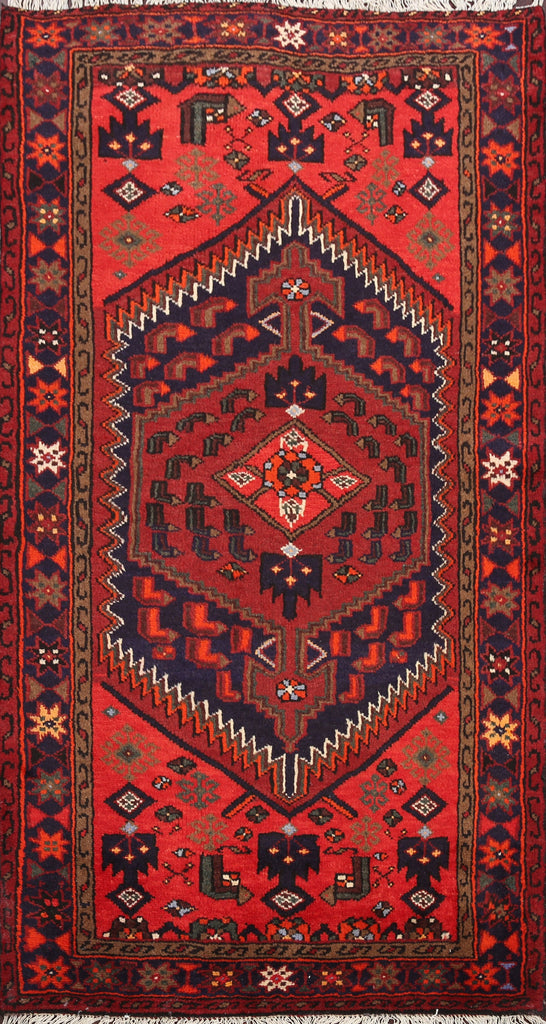 Hamedan Persian Area Rug 3x6