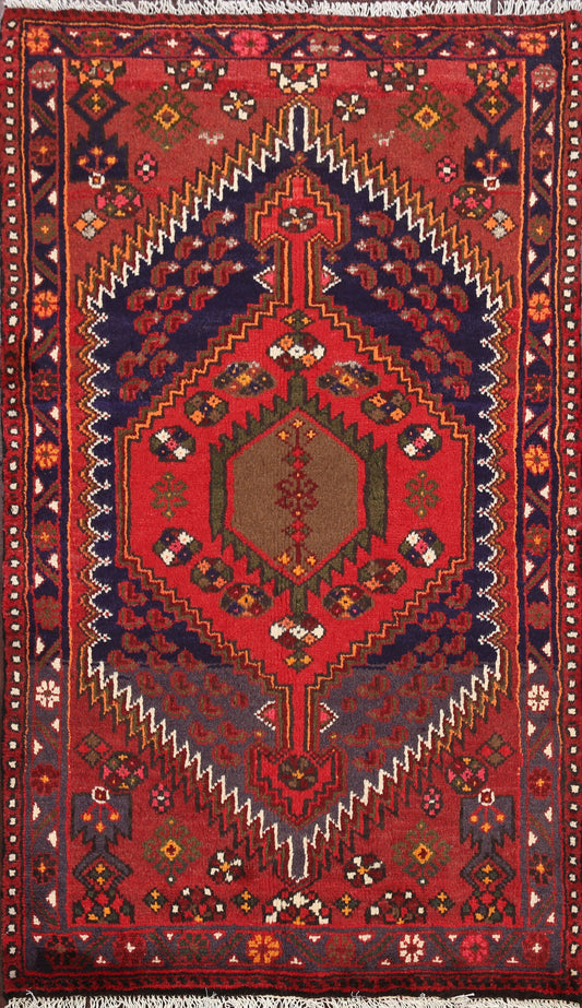 Hamedan Persian Area Rug 3x5