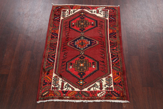 Hamedan Persian Area Rug 3x5