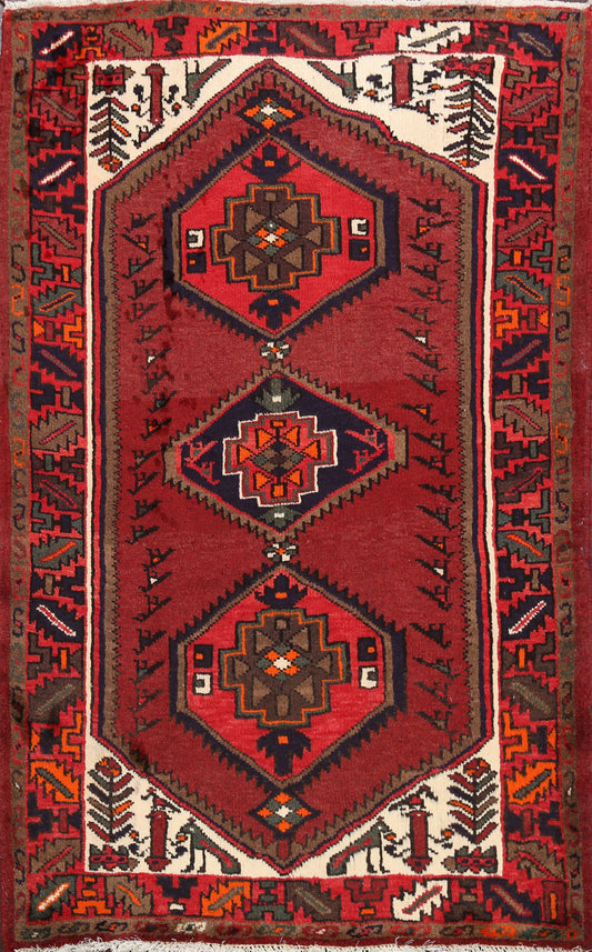 Hamedan Persian Area Rug 3x5