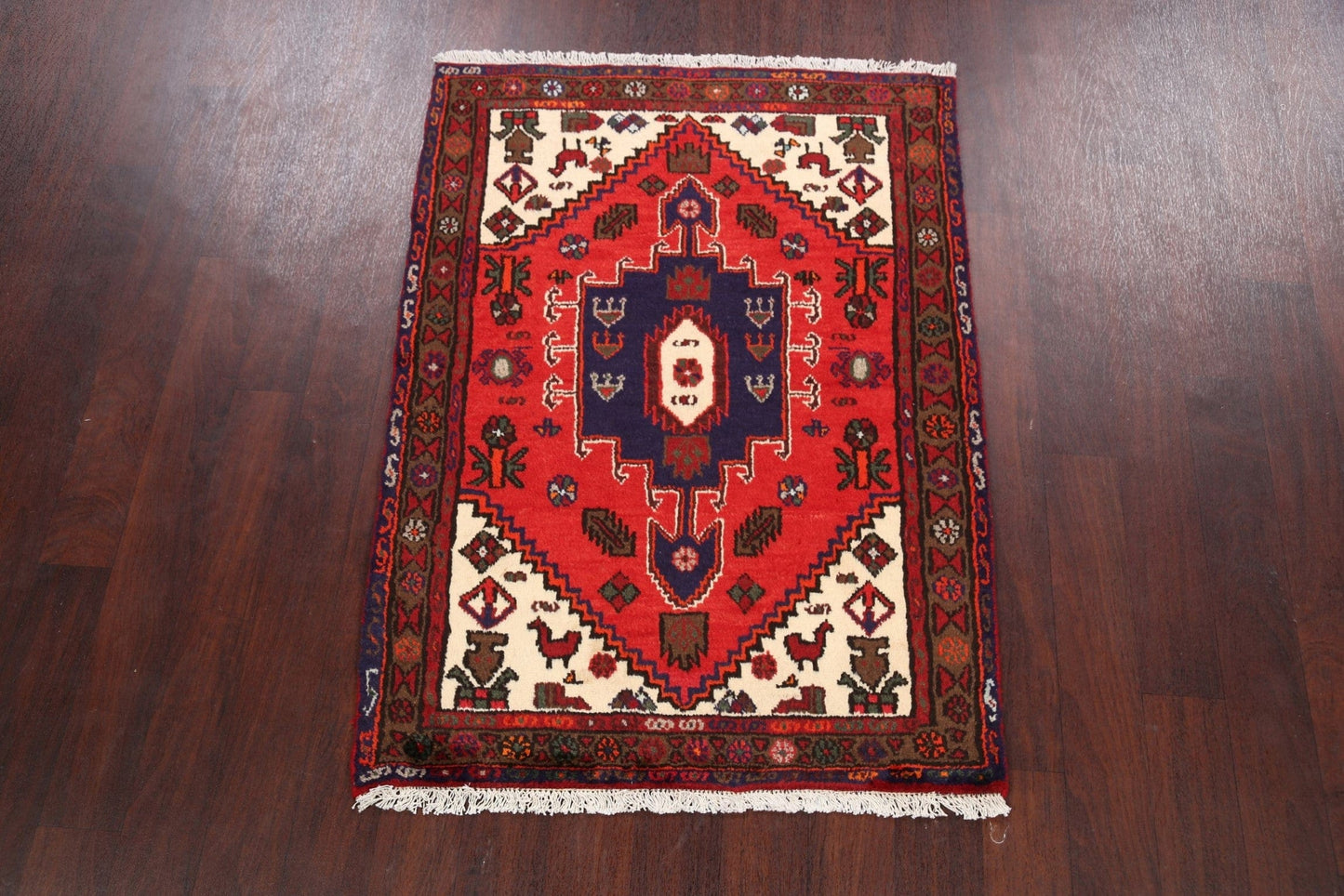 Hamedan Persian Area Rug 3x5