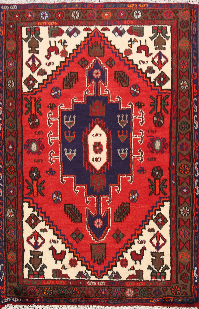 Hamedan Persian Area Rug 3x5