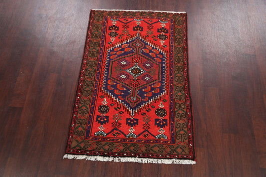 Hamedan Persian Area Rug 3x5