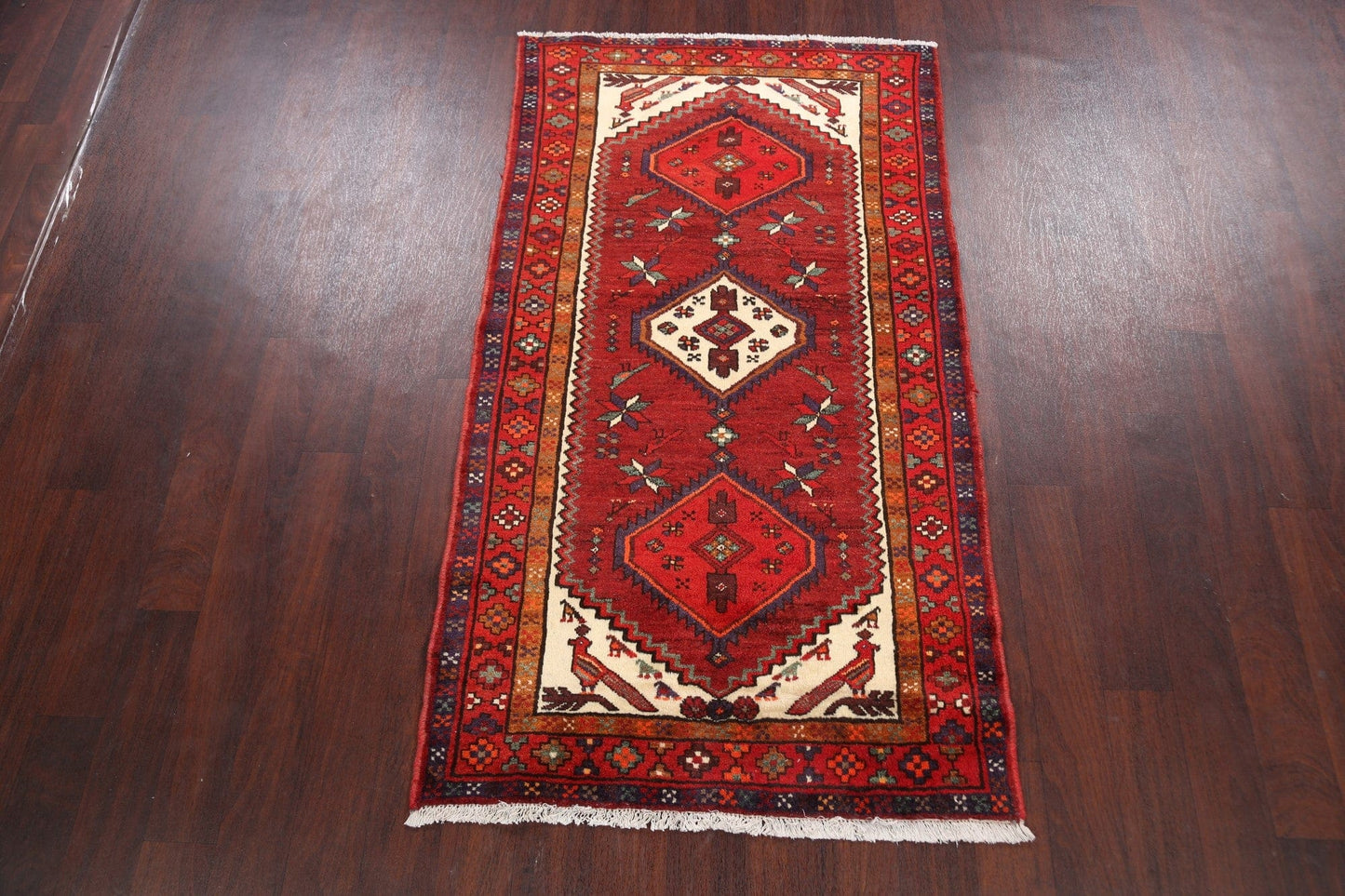 Hamedan Persian Area Rug 3x6