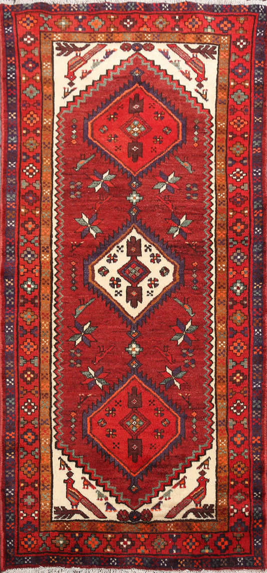 Hamedan Persian Area Rug 3x6