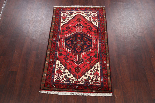 Hamedan Persian Area Rug 3x5