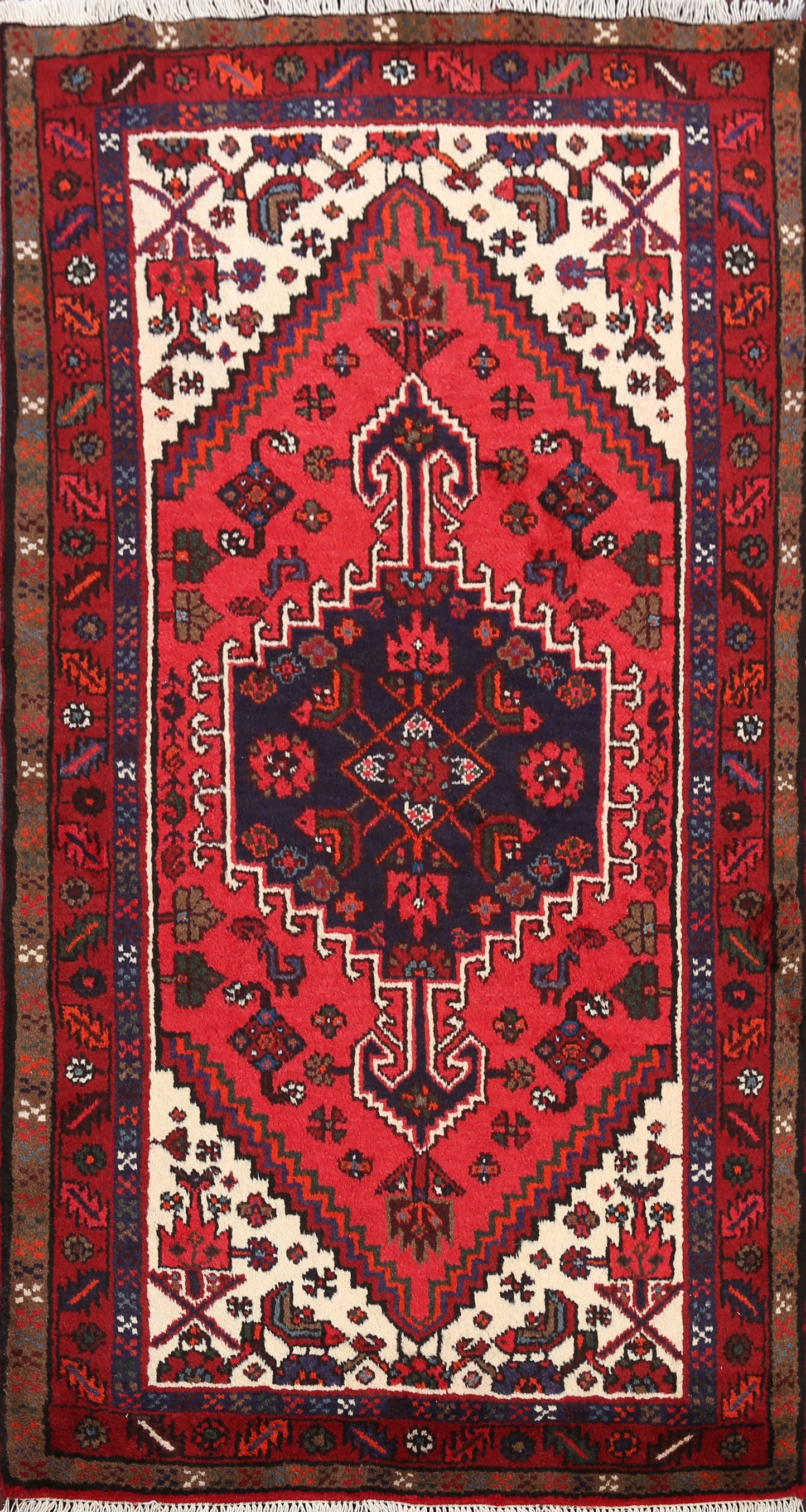 Hamedan Persian Area Rug 3x5