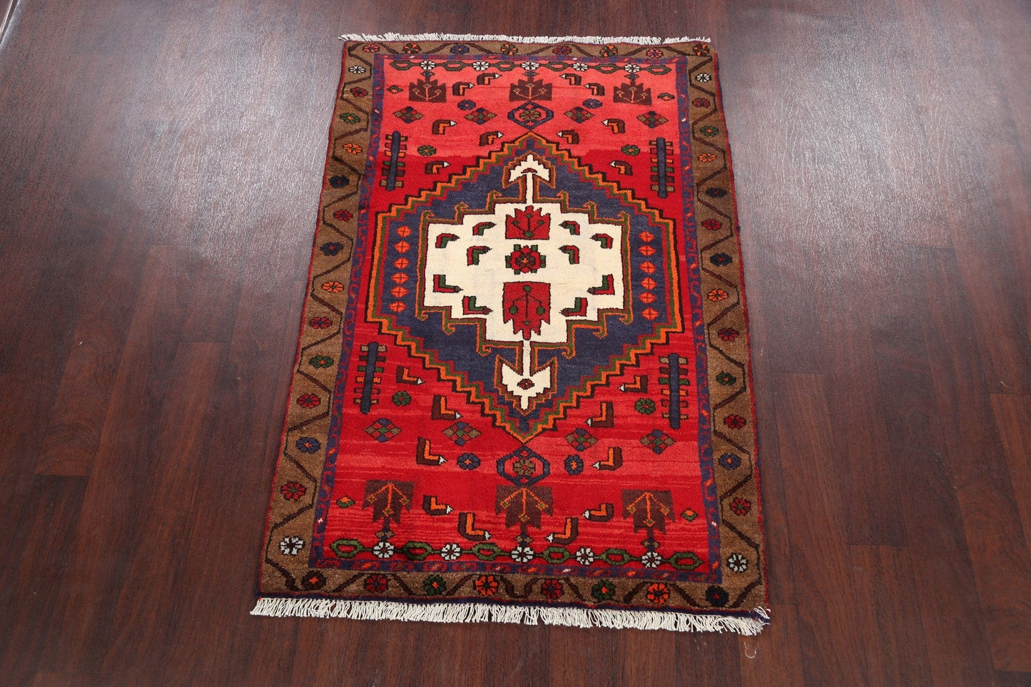 Hamedan Persian Area Rug 3x5