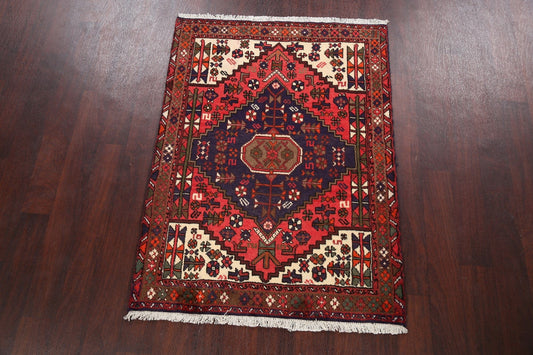 Hamedan Persian Area Rug 3x5