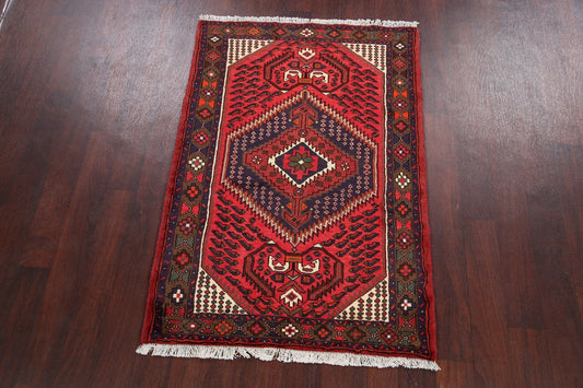 Hamedan Persian Area Rug 3x5