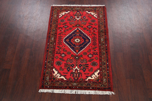 Hamedan Persian Area Rug 3x5