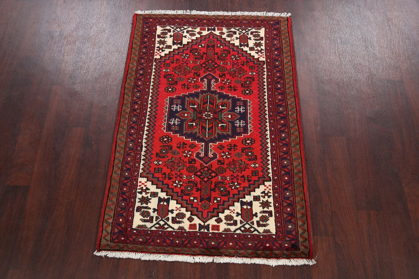 Hamedan Persian Area Rug 3x5