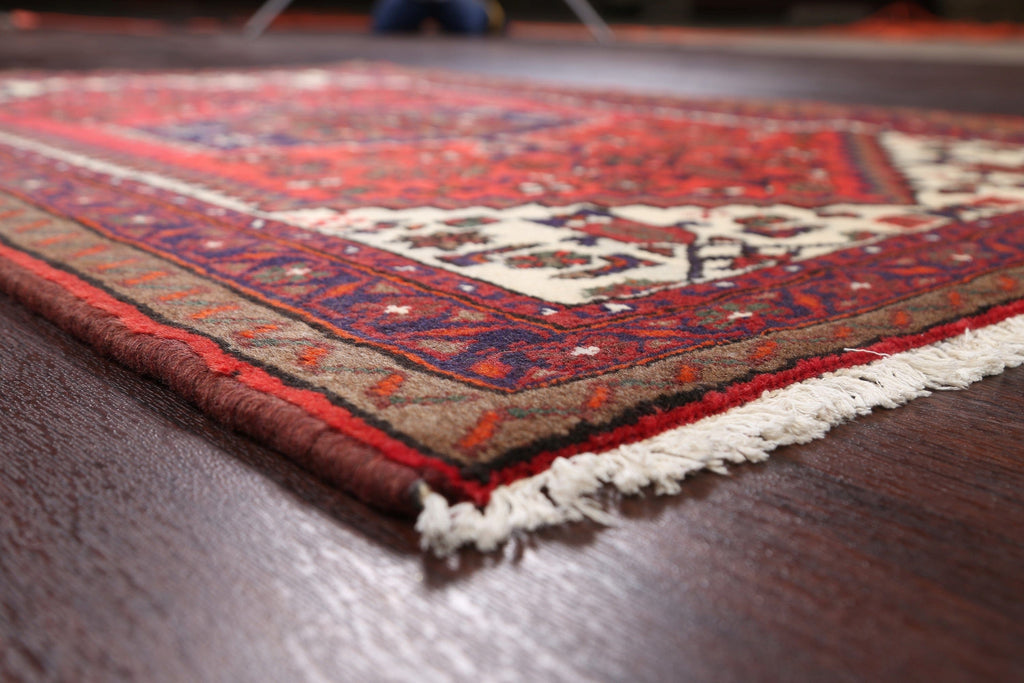 Hamedan Persian Area Rug 3x5