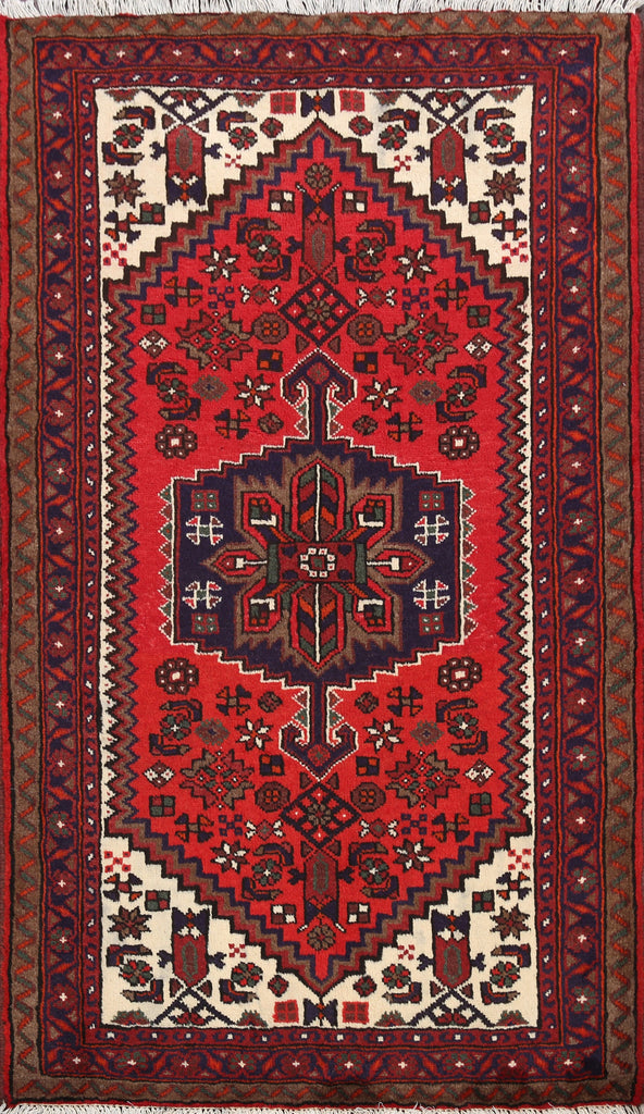 Hamedan Persian Area Rug 3x5