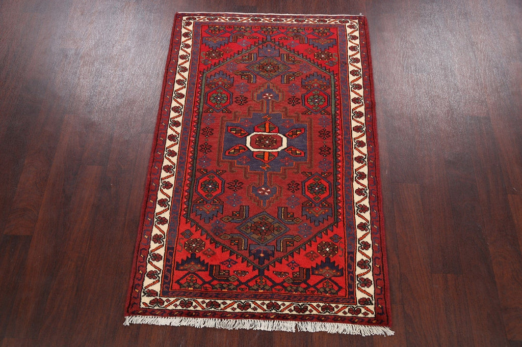 Hamedan Persian Area Rug 3x5