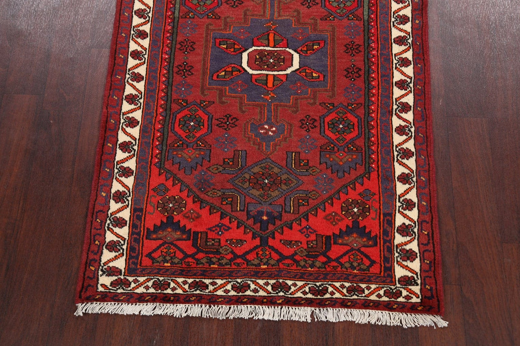 Hamedan Persian Area Rug 3x5