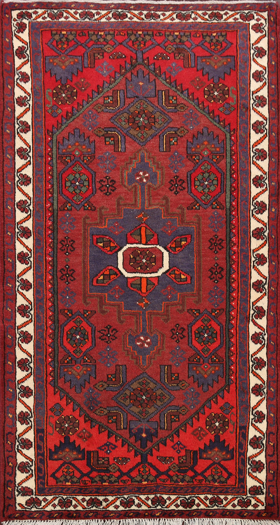 Hamedan Persian Area Rug 3x5