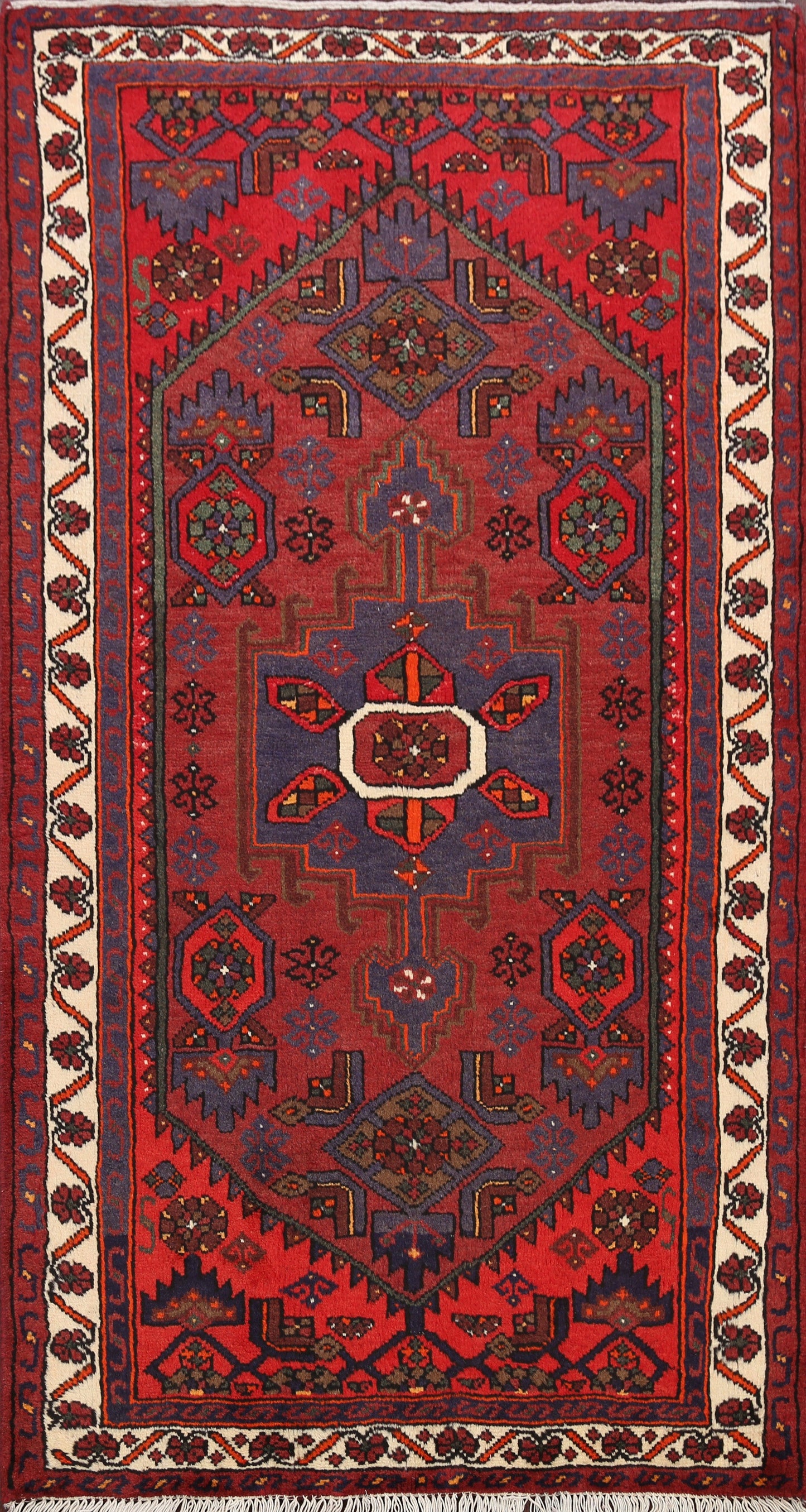 Hamedan Persian Area Rug 3x5