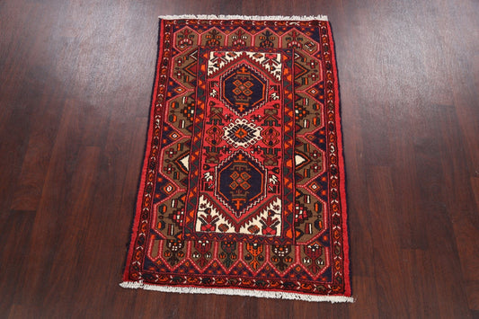 Hamedan Persian Area Rug 3x5