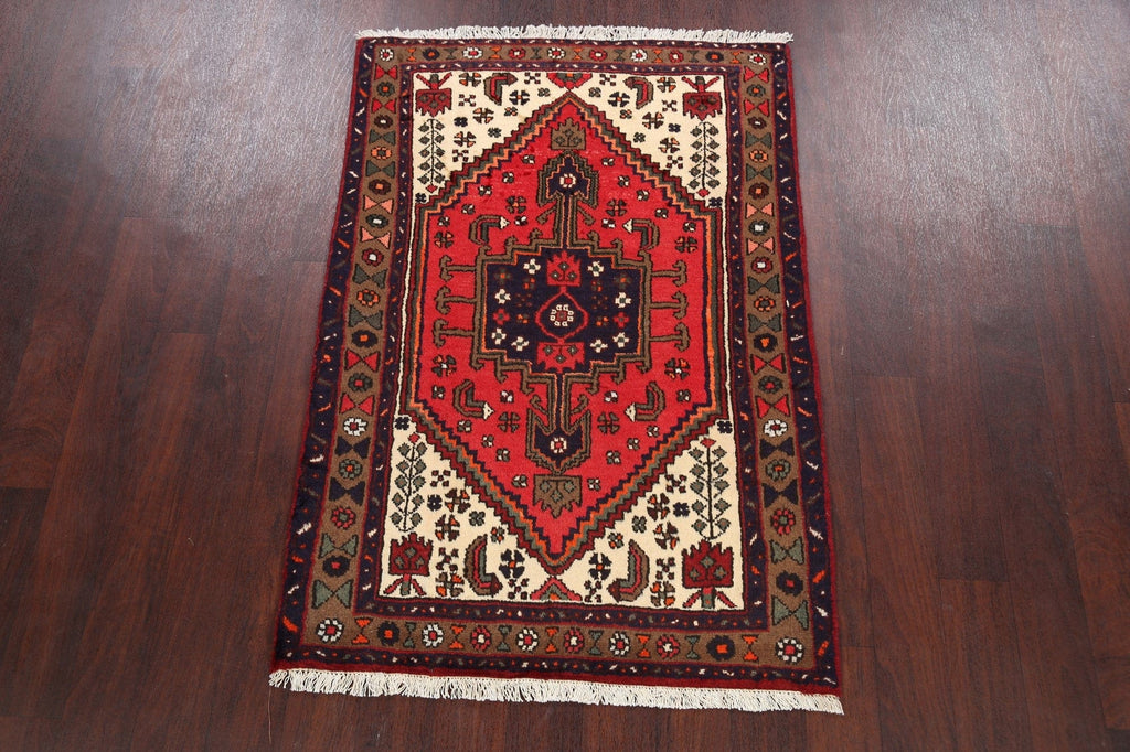 Hamedan Persian Area Rug 3x5