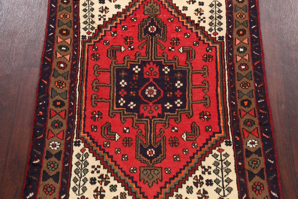 Hamedan Persian Area Rug 3x5