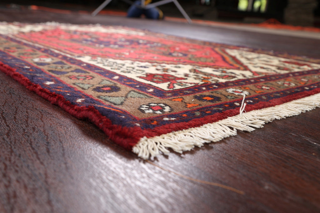 Hamedan Persian Area Rug 3x5