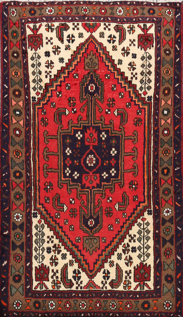 Hamedan Persian Area Rug 3x5