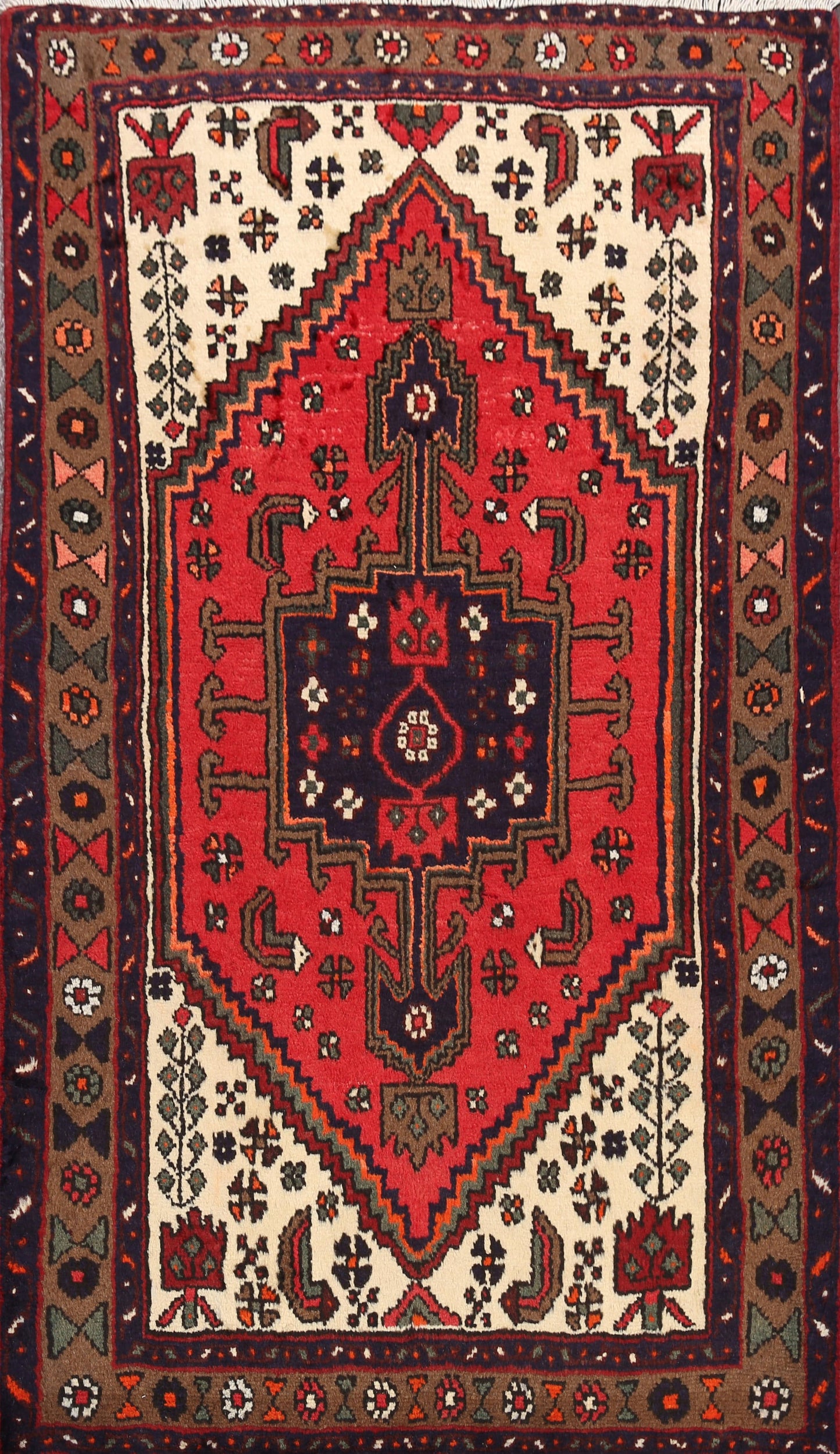 Hamedan Persian Area Rug 3x5