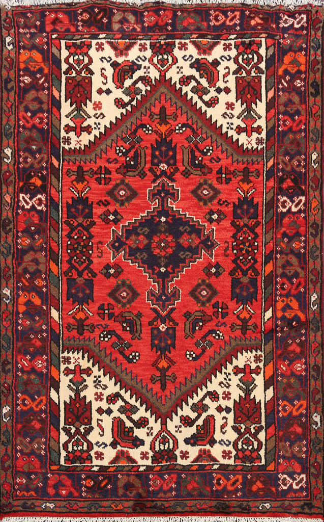 Hamedan Persian Area Rug 3x5