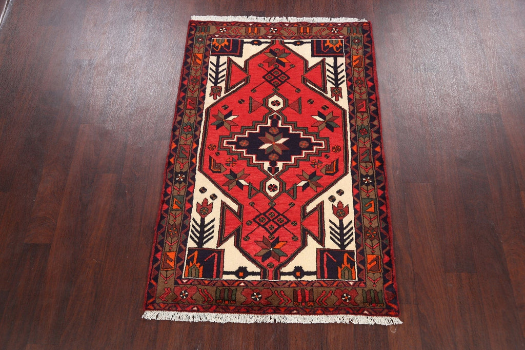 Hamedan Persian Area Rug 3x5