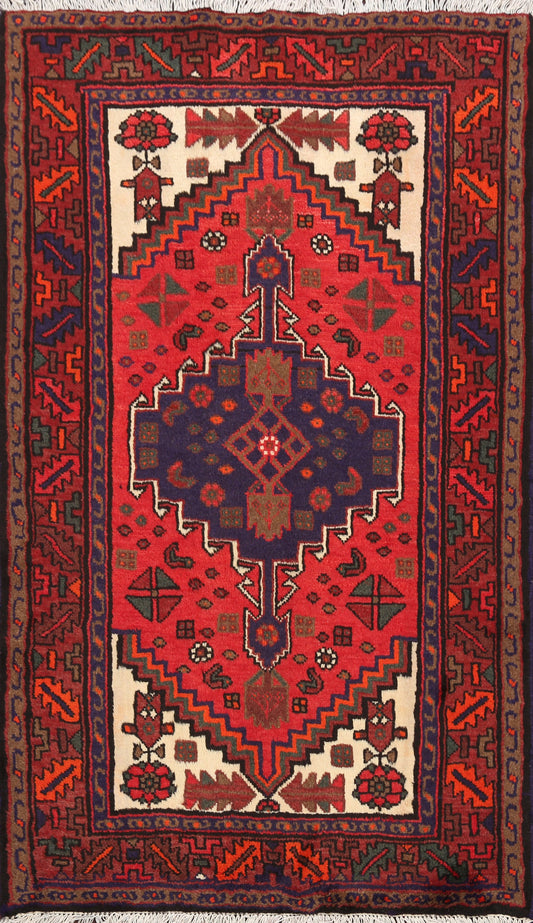 Hamedan Persian Area Rug 3x5