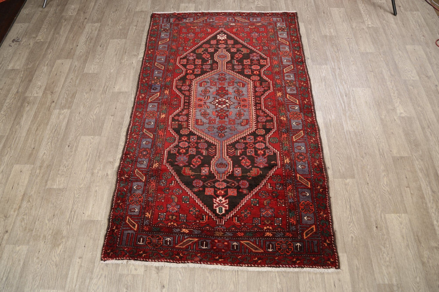 Tribal Hamedan Persian Area Rug 4x7