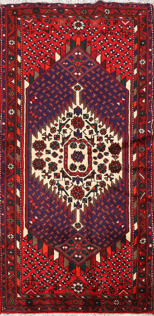 Geometric Hamedan Persian Area Rug 3x6