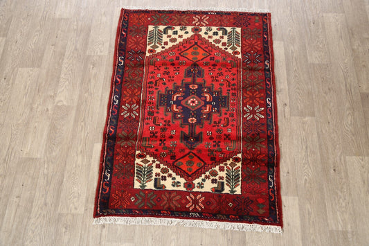 Geometric Hamedan Persian Area Rug 3x5