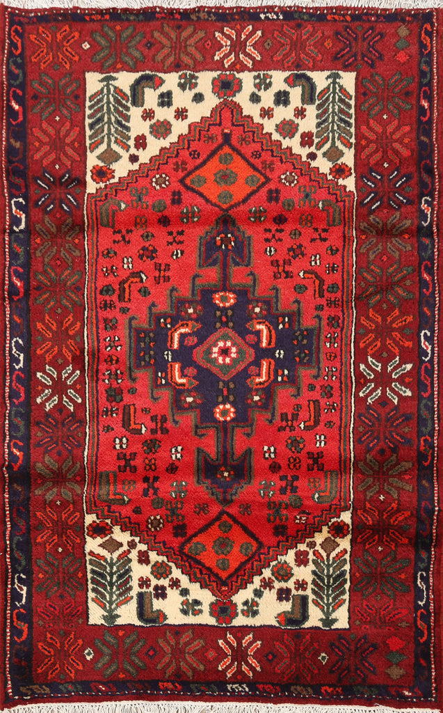 Geometric Hamedan Persian Area Rug 3x5