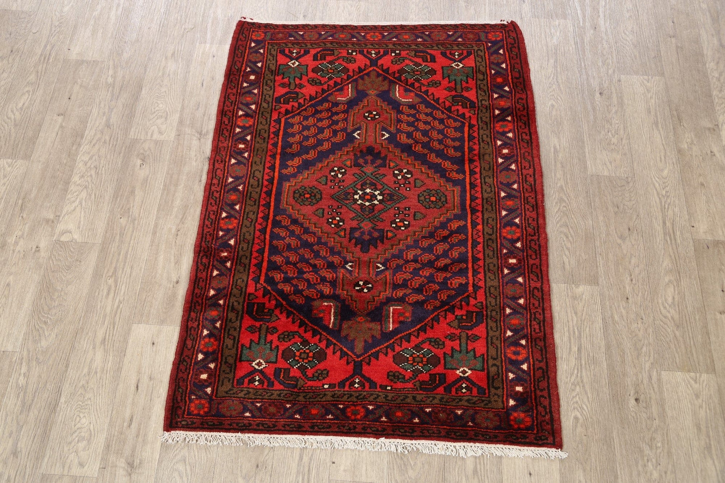 Geometric Hamedan Persian Area Rug 3x5