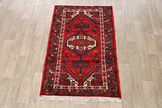 Geometric Hamedan Persian Area Rug 3x5