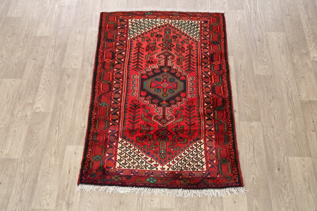 Tribal Hamedan Persian Area Rug 3x5