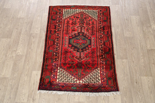 Tribal Hamedan Persian Area Rug 3x5