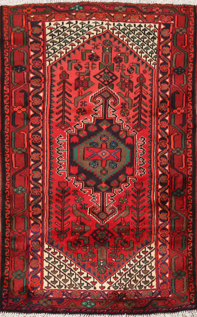 Tribal Hamedan Persian Area Rug 3x5