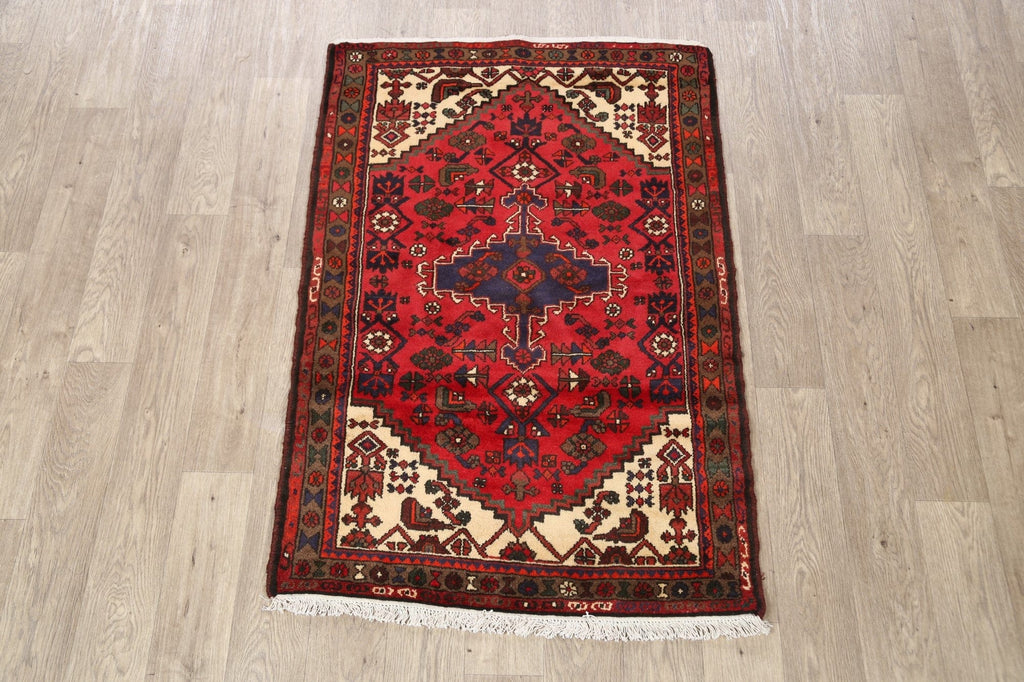 Geometric Hamedan Persian Area Rug 3x5