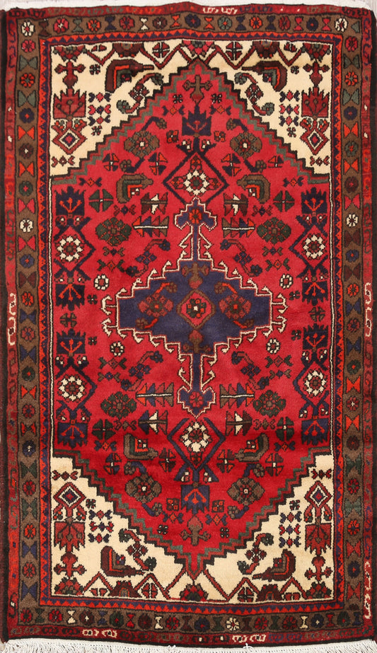 Geometric Hamedan Persian Area Rug 3x5